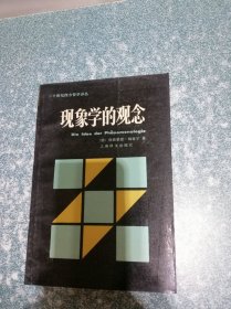 现象学的观念