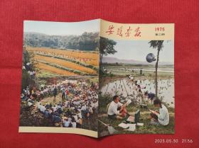 怀旧收藏杂志《安徽画报》1975年第2期 馆藏未阅画报