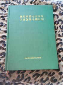 沈阳市第七个五年工业发展专题计划