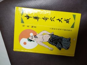 中华奇穴大成（精装）