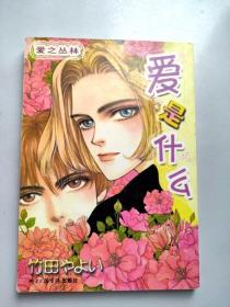 32开单行本漫画书 爱是什么？