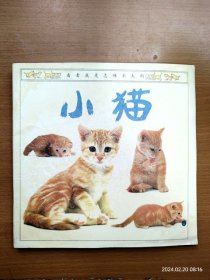 正版看看我是怎样长大的 小猫