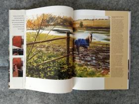 水彩画指南 Joe dowden's complete guide to painting water in watercolour