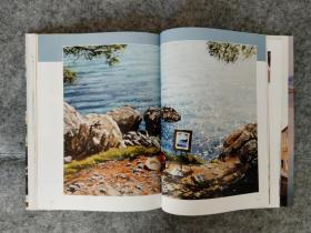 水彩画指南 Joe dowden's complete guide to painting water in watercolour