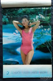 上世纪挂历画1996年出水芙蓉 泳装美女 全12张塑料薄膜