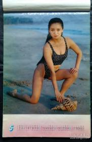 上世纪挂历画1996年出水芙蓉 泳装美女 全12张塑料薄膜