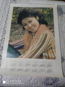 1981年历画:美女