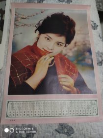 1981年历画 农历图  美女