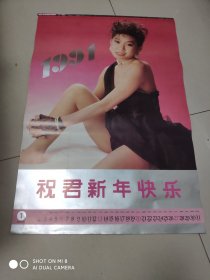 1991年挂历:泳装 美女挂历（全12张）