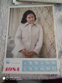 1984年历画  思考