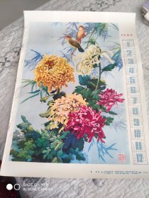 1985年历画:菊