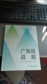 广角镜战略：成功创新者的洞见