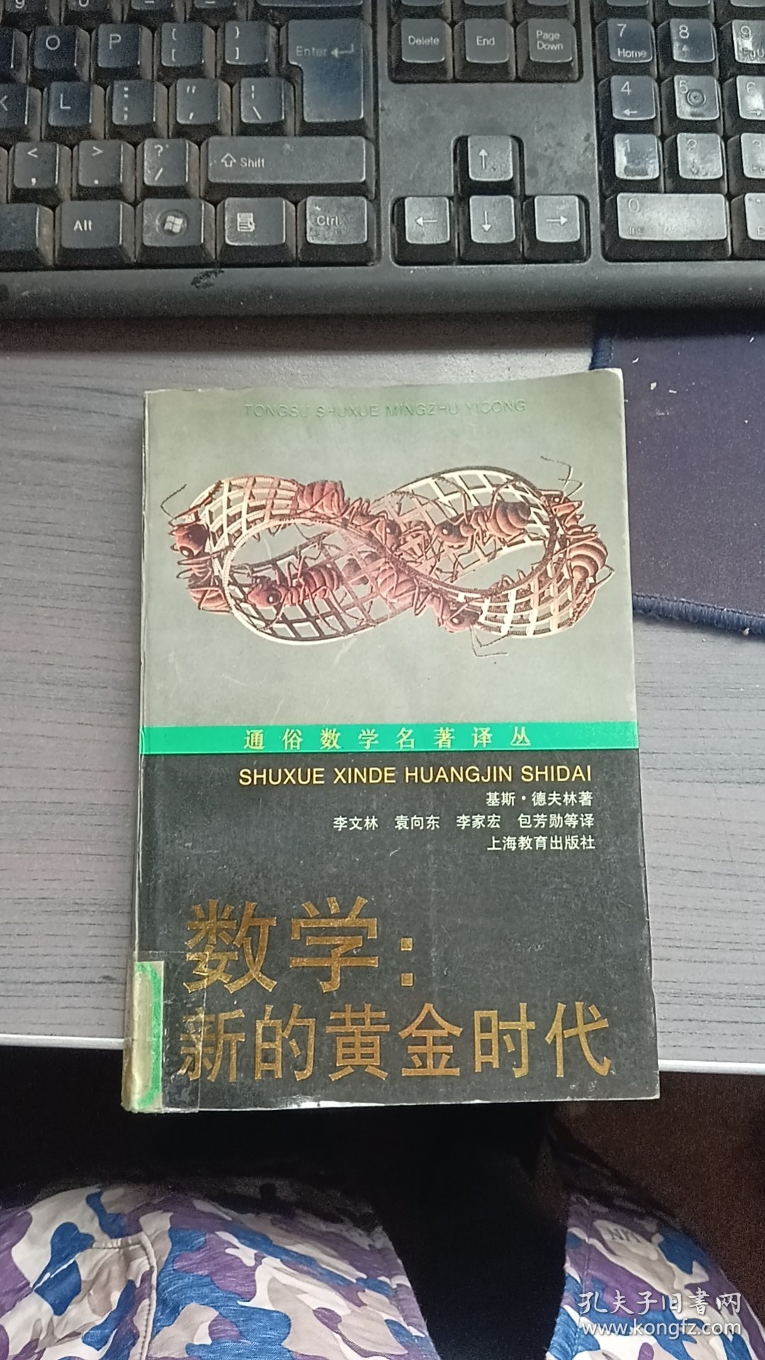 数学新的黄金时代