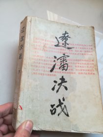 辽沈决战.下