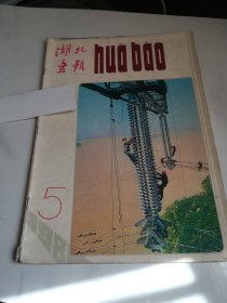 湖北画报 1981年5期