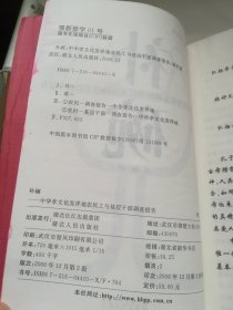 补碗:孝感农民工与基层干部调查报告