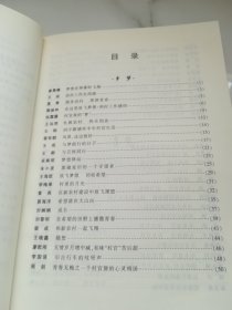 扬帆前行   湖北省大学生村官网络征文集