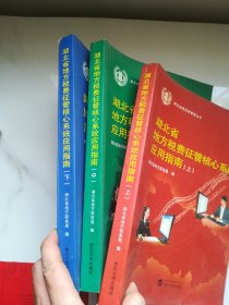 湖北省地方税费征管核心系统应用指南（上中下）无盘