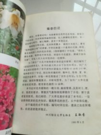 家庭四季养花 缺护封