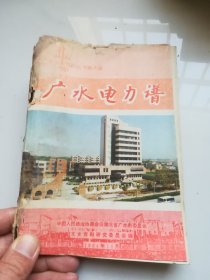 广水电力谱 广水文史资料丛书第八辑 仅印2000册 内容完整 品弱 请自鉴