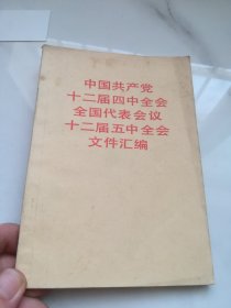 中国共产党十二届二中全会全国代表会议