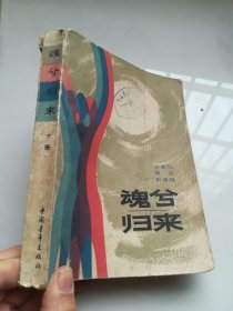 魂兮归来下册