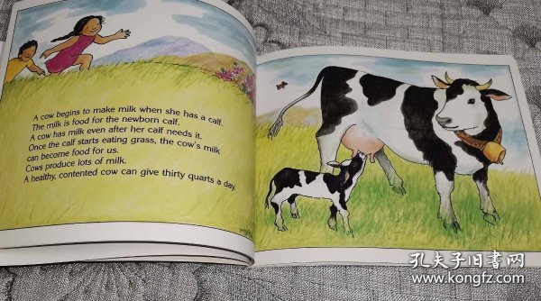 Milk: From Cow to Carton (Let's-Read-and-Find-Out Book)