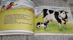 Milk: From Cow to Carton (Let's-Read-and-Find-Out Book)