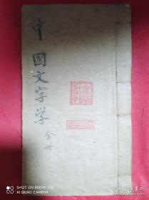 【名家旧藏】顾实 《中国文字学》 全一册 1928年印  商务印书馆 白纸 石印手稿精美写本，大开本巨厚册，品相完美，朱维高旧藏