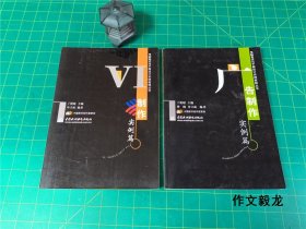 电脑美术与平面设计实例教程《广告制作》《VI制作》实例篇 2册合售【0.75kg】