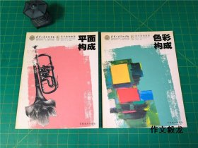 清华大学美术学院设计基础教程《平面构成》《色彩构成》 2册合售【0.75kg】