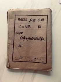垫江县五洞公社同心大队1972年农付业收益分配及财务决算报表