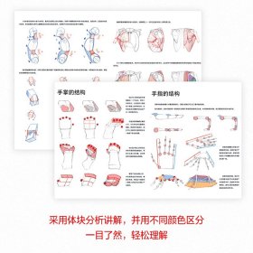 人体结构原理与绘画教学