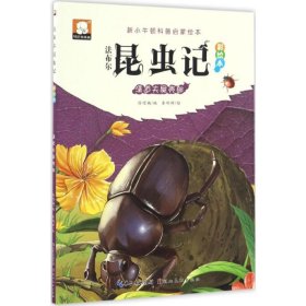 法布尔昆虫记（彩绘本）·清道夫屎壳郎