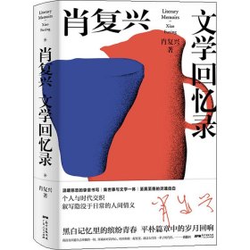 肖复兴文学回忆录