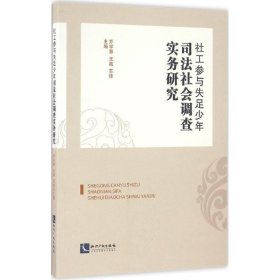 社工参与失足少年司法社会调查实务研究