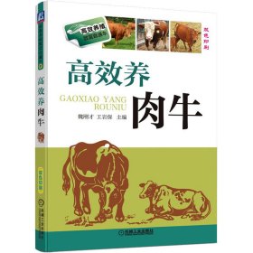 高效养肉牛