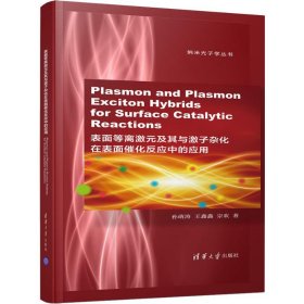 PlasmonandPlasmon-ExcitonHybridsforSurface