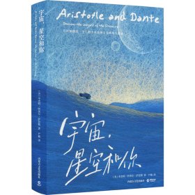 宇宙，星空和你（美国现象级青春文学，《时代周刊》评选“百本经典青春文学”之一）