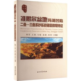 准噶尔盆地玛湖凹陷二叠-三叠系砂砾岩储层微观特征