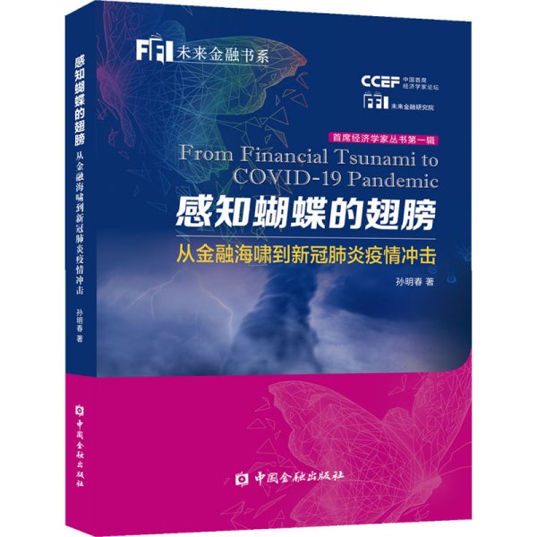 感知蝴蝶的翅膀：从金融海啸到新冠肺炎疫情冲击