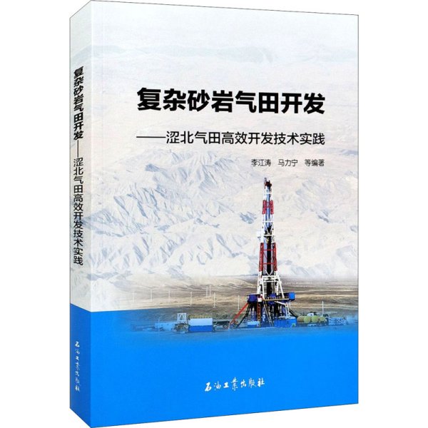 复杂砂岩气田开发——涩北气田高效开发技术实践