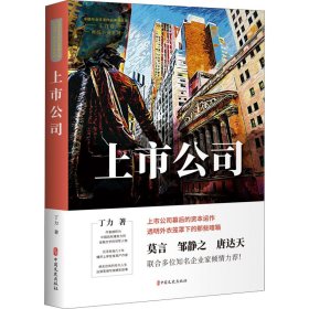 上市公司（中国专业作家作品典藏文库.丁力卷）