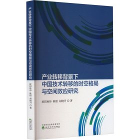 产业转移背景下中国技术转移的时空格局与空间效应研究