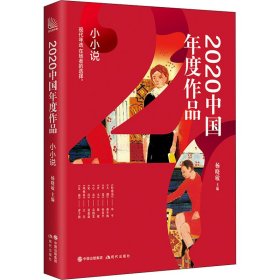 2020中国年度作品