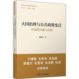 大国治理与公共政策变迁：中国的问题与经验（国家治理与政府创新丛书）