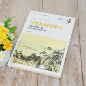 计算机数据审计(大数据环境下的审计实务与案例分析21世纪经济管理精品教材)/会计学系列