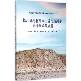 松辽盆地火山岩气藏测井评价技术及应用