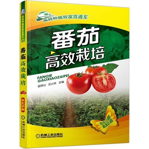 高效种植致富直通车：番茄高效栽培