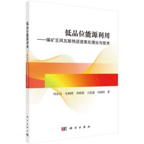 低品位能源利用——煤矿乏风瓦斯热逆流氧化理论与技术